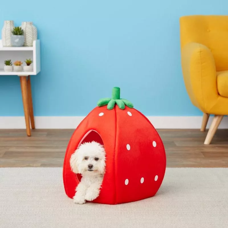 YML Strawberry Covered Cat & Dog Bed, Small