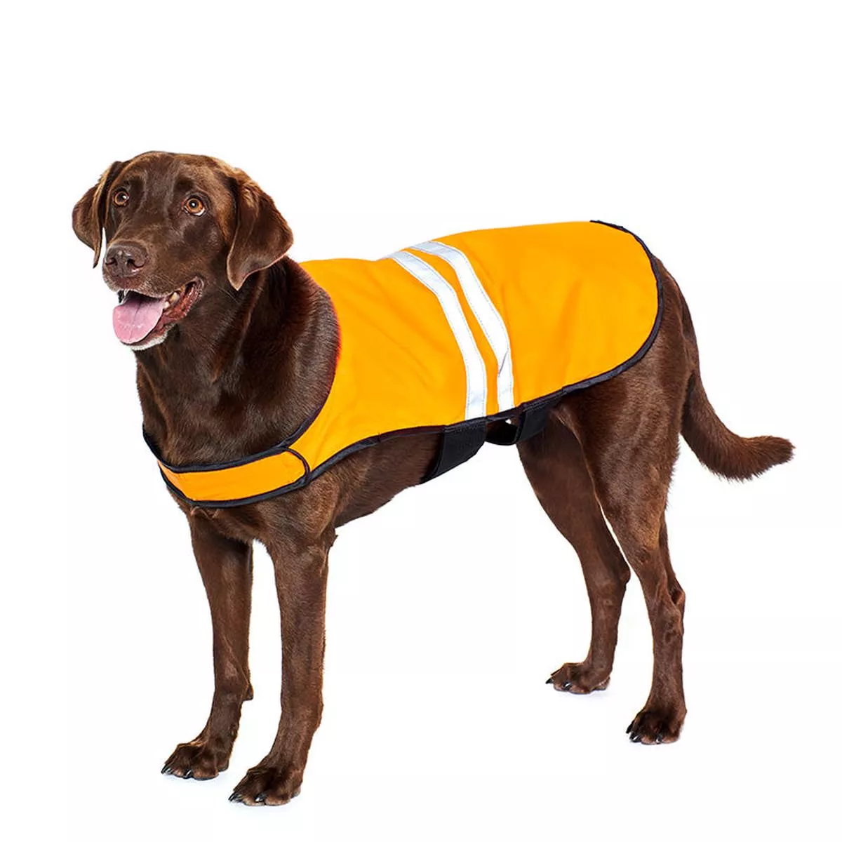 ZippyPaws Cooling Safety Dog Vest, Orange