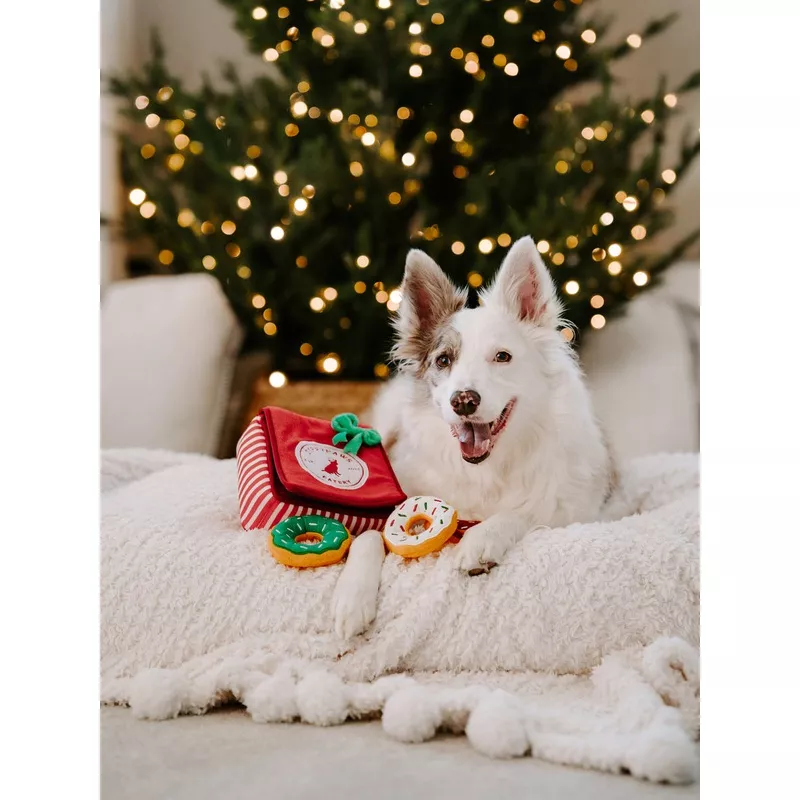 ZippyPaws Holiday Burrow Donutz Box Plush Dog Toy