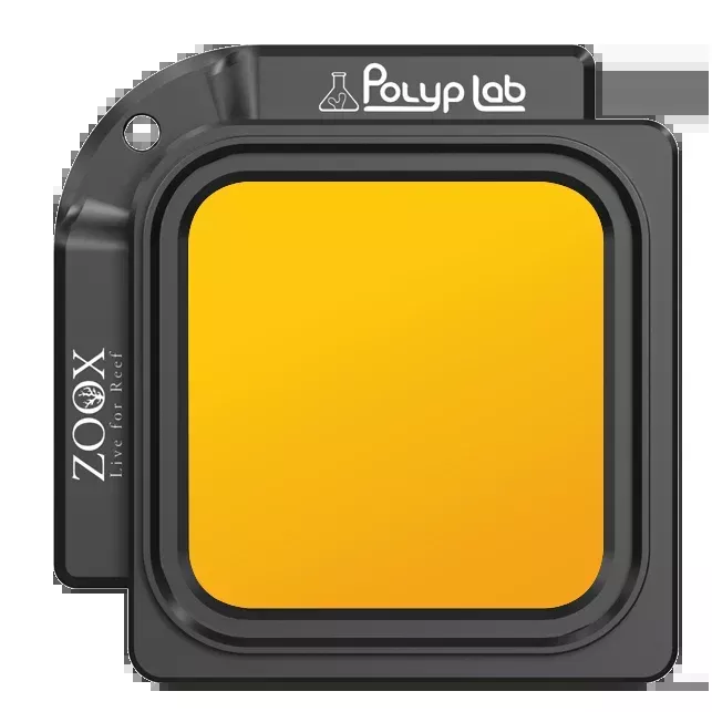 ZOOX Coral Lens for iPhone